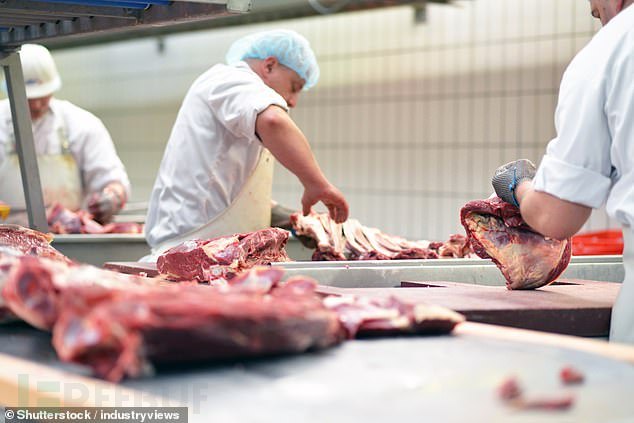 全球最大肉类生产商JBS遭网络攻击，美澳加等多国工厂受影响