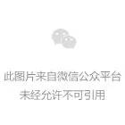 近期网络安全事件盘点